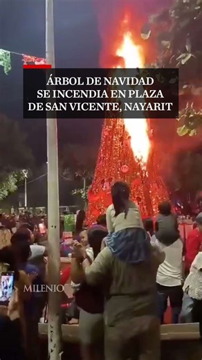 Durante la ceremonia de encendido navideño en el Jardín de San Vicente, en Bahía de Banderas, Nayarit, un árbol de Navidad se incendió luego de que una chispa de los fuegos artificiales alcanzara la estructura. El incidente quedó registrado en video y generó momentos de tensión entre los asistentes la noche del 15 de diciembre. Autoridades confirmaron que no hubo personas heridas, aunque el fuego obligó a suspender momentáneamente el festejo. #Nayarit #Accidente #Mexico #MilenioInforma #MILENION