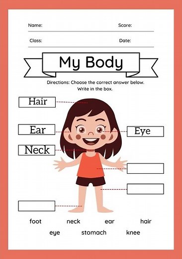 My Body Parts | EVS Revision for Kids | Worksheet Practice