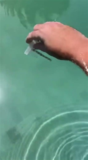 POV: You skipped the pool test instructions. Don’t skip pool school next. #poolgeniepro