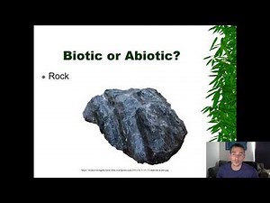 Video Lecture 1: What is Life