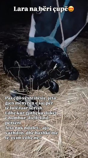 Farma Sotira Agroturizem on Reels