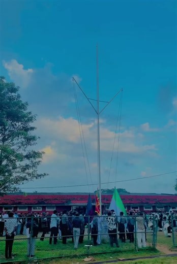 Emotional Background Video for Connection and Reflection