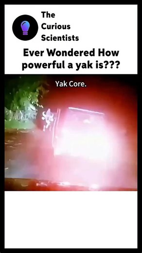 Science | Interesting | How it works | Ever wondered how powerful a yak really is? 🐂✨ Native to the Himalayas and Central Asia, these incredible mountain animals aren’t just... | Instagram