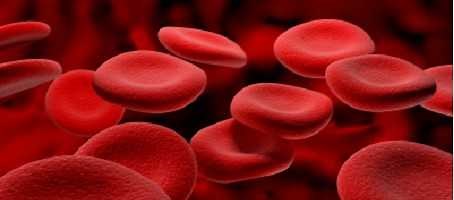 Ketone Testing - How To Test for Ketones & Ketone Test Levels