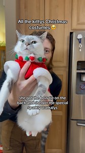 89K views · 10K reactions | Who got the best costume? #cats #catsofinstagram #catstagram #pets #petstagram #petsofinstagram #viralreels #catlovers #petlovers #cutecats | Aziathecat | Facebook