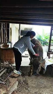 Record my rural life