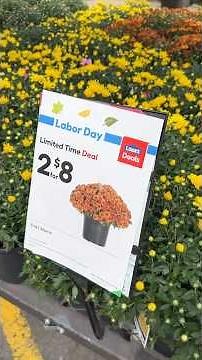 Top Lawn & Garden Deals During Lowe’s Labor Day Sale! #laborday #ad #lowespartner