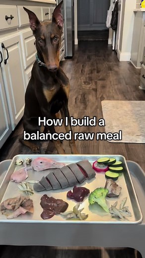 Balanced Raw Meal for Doberman: Purposeful Ingredients