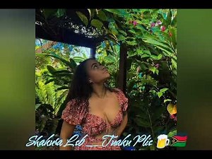 Shakura Local String Band _ Tuaku Plis 🍺🇻🇺