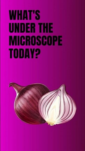 Onion cells and Osmosis under microscope #scienceathome #microscope #microbiology