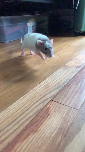 user2714424969279 on TikTok