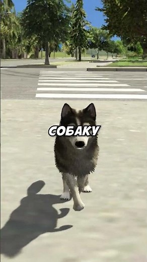 ПЕРЕХОЖУ ДОРОГУ ЗА ЧЕЛОВЕКА VS СОБАКУ В ГТА 5 РП МОЙ ДОМ #shorts