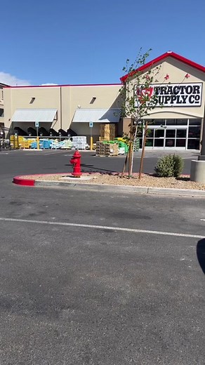 Discovering the Mystery of 'Bunroom' | Bunny & Rabbit Supplies at Tractor Supply