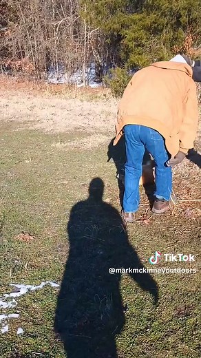 Red Fox Video Mashup: Trapping and Hunting Highlights