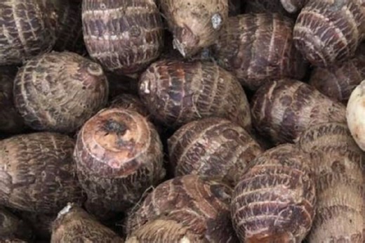Health benefits of cocoyam