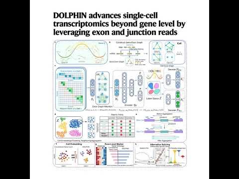 094-DOLPHIN: Using RNA splicing to enhance ScRNA analysis