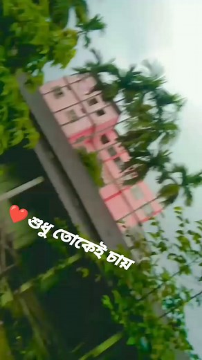 ✨#বৃষ্টি_ভেজা_দিনে ❤️❤️ #fbreelsfypシ゚ @viralfbreelsfypシ゚viral #fbreelsfypシ゚viralシ #highlightseveryone #highlightsシ゚ #fbpost2024 #fbreelsfypシ゚ #fbreelsviral #fb #viralvideoシ #viralreelschallenge #foryouシ #fbviralreels #followforfollowback #follower | Paromita Das Paul