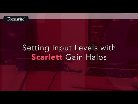 Setting Input Levels with Scarlett Gain Halos / Focusrite