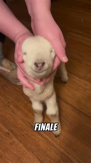 THE RECIPE FOR FRENCH FRIES FROM THE WORLD'S MOST FAMOUS FAST FOOD STORES