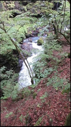 Yuuhi-no-Taki waterfall in Yaita, Tochigi #雄飛の滝 #スッカン沢雄飛の滝展望台 #矢板市