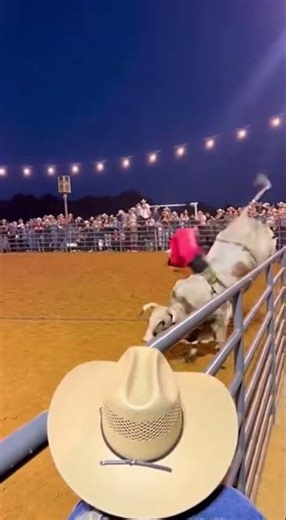 Wacky Tube Man Rodeo