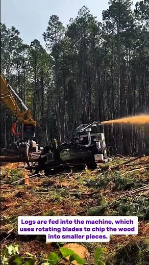 Forestry Machine in Action: Wood Chipper Processing Logs!