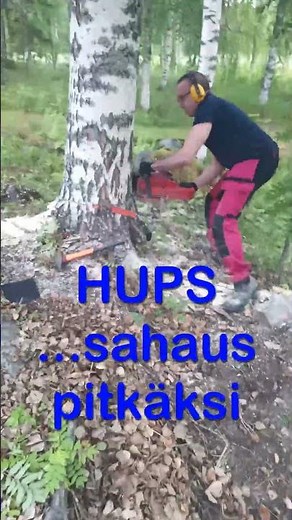 Puunkaatoa mökillä