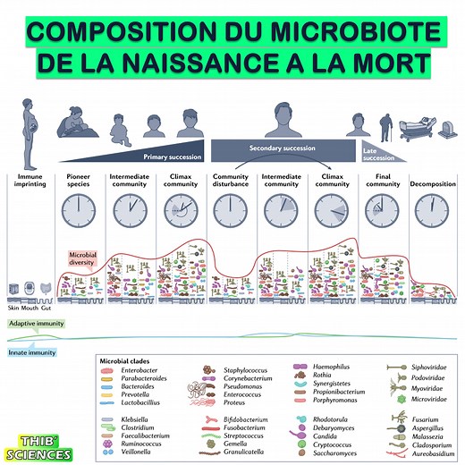 Microbiote humain et santé