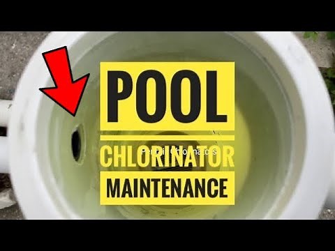 Pool Chlorinator Maintenance