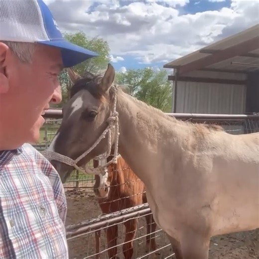 LEAVING THE FARM - and IT MAKES ME HAPPY🐎🤣#horse #horselove #horses | The Farm on Route 66
