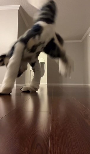 Furry Costume Exploration: Artistic Movement in Fandom