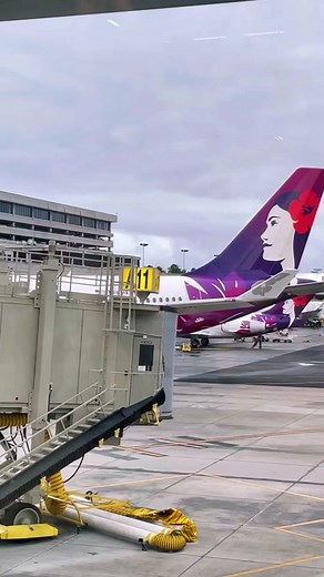 Let me tell you what you can expect when you fly with Hawaiian Airlines, both from and to Hawaii. For some context, we flew from LAX to Oahu, Hawaii and back. A flight round trip was $347 per person. This might be a no brainer, but food at the airport is expensive, always. It’s a 5 hour flight, so either eat beforehand or bring your own meal. They do provide a “meal”, but it’s mid. Both flights to and from Hawaii, they kept serving us these mega cheese bagel rolls with not much meat in them. A l