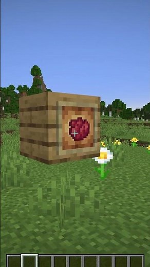 NAJLEPSZY SPOSÓB NA BARWNIKI W MINECRAFT