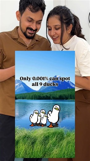 Only 0.001% Can Spot All 9 Ducks #findthedifference #duck #comedy #spotduck #puzzle #spotdifference