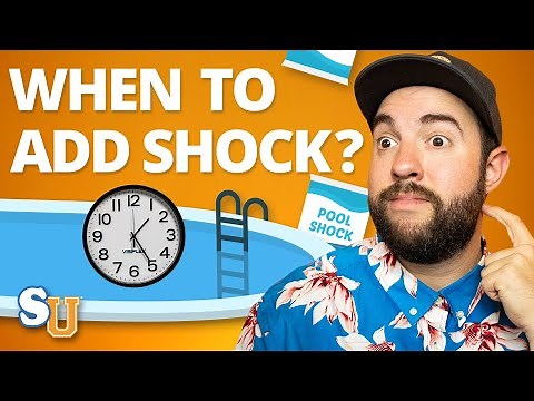 How Often Should You SHOCK Your POOL?