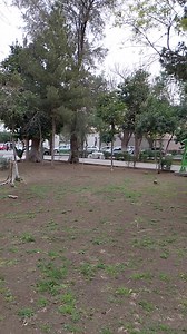 LA PLAZUELA | Lerdo, ciudad Jardín