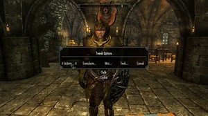 Amazing Follower Tweaks (SE AE)