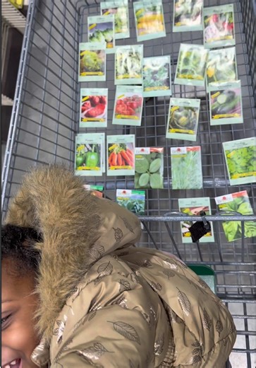 We got these seeds 10 cent each at Menards! #gardening #garden #growyourownfood