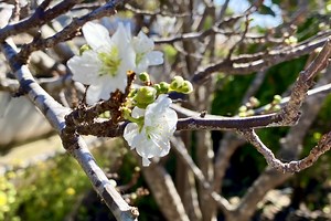 Saturday Smiles: First Signs of Spring!
