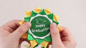 Lyrow 2026 Graduation Money Lei with Cash Holder 48 Inch Extra Long Braided Ribbon Lei DIY Graduation Garland for Cash Gifts Class of 2026 Grad Party Decorations(Yellow & Green)