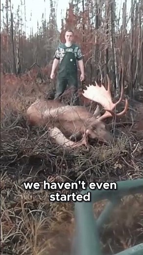 TRUE Moose Hunting: The Part They Don’t Show You