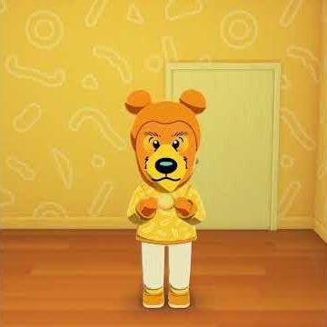 Living the Dream with Bear! 🐻