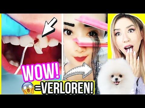 WOW rufen oder sagen ist VERBOTEN und du VERLIERST (unmögliche Challenge mit HUND FLUFFY)