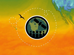 Introduction to the Integration of Animal Tracking and Remote Sensing | NASA Earthdata