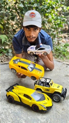 Remote Control Cars