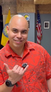 Mahina ‘Ōlelo Hawai‘i Phrase of the day : Ana pohō | Hawaii Emergency Management Agency