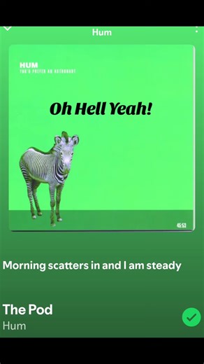 Hum: The Pioneers of 90s Post-Rock Music