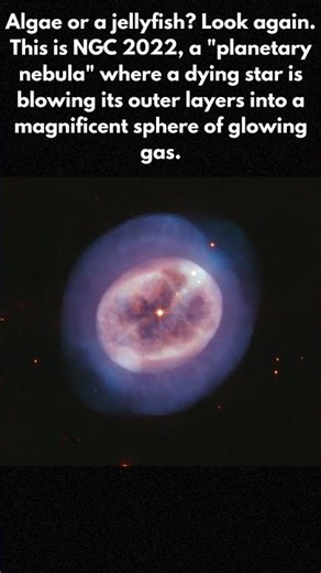 The Ghost of a Dying Star 😲😲😲