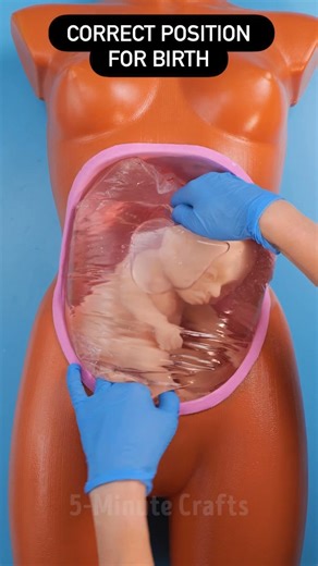 Baby Flip Simulation with a Pregnancy Model 👶🧩 | 5-Minute Crafts