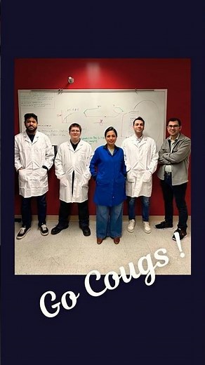 Dean's Faculty Fellow Spotlight: Arezoo Zare
